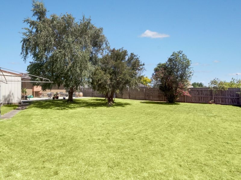 12 Elgin Street, Drysdale VIC 3222