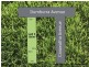 7 Dumburra Avenue, Clifton Springs VIC 3222