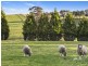 51-69 Scotchmans Road, Drysdale VIC 3222