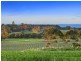51-69 Scotchmans Road, Drysdale VIC 3222