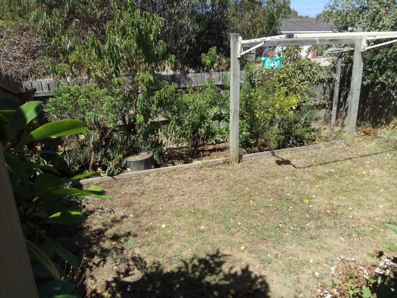 19 Daintree Way, Ocean Grove VIC 3226