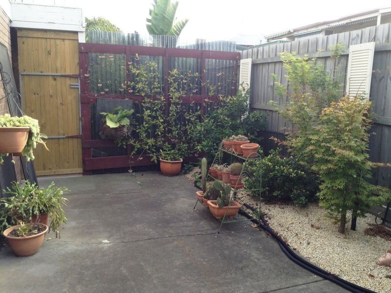 11 Binda Court, Clifton Springs VIC 3222