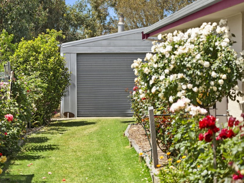 37 De Burgh Road, Drysdale VIC 3222