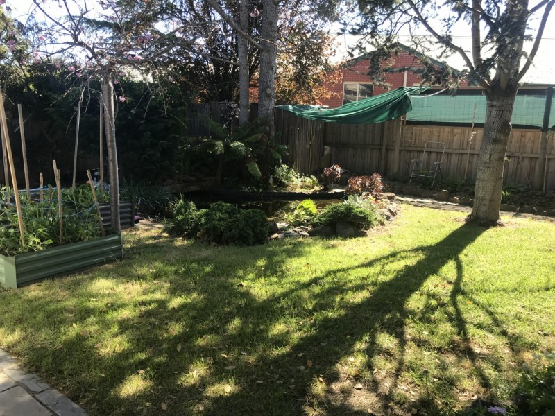24 Palmerston Street, Drysdale VIC 3222