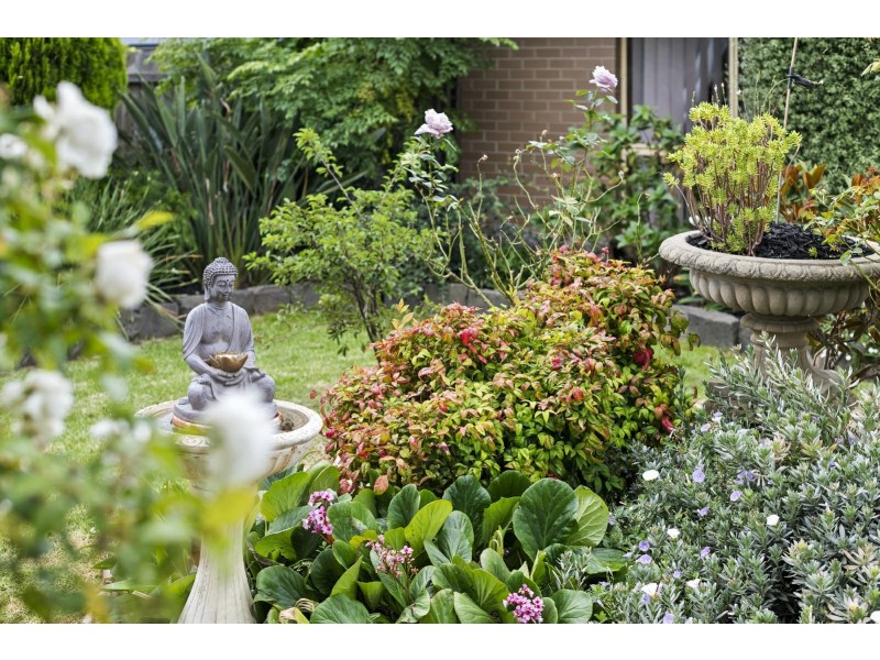 15 Leawarra Way, Clifton Springs VIC 3222