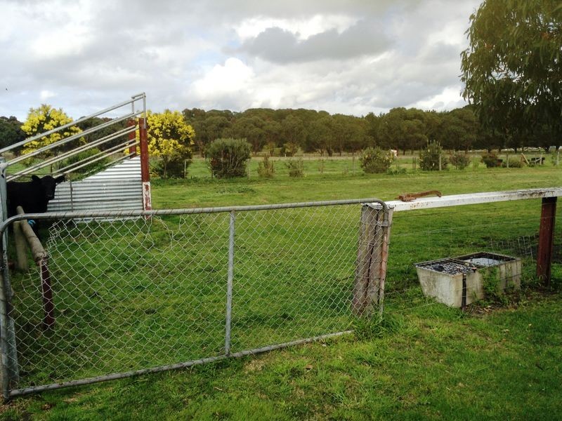 24 Huntingdon Street, Drysdale VIC 3222