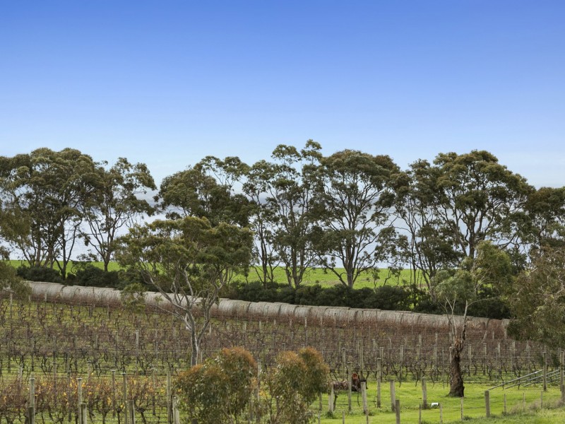 37 Pierview Drive, Curlewis VIC 3222