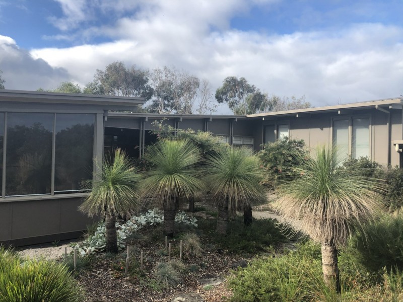 25 Emily Street, Point Lonsdale VIC 3225