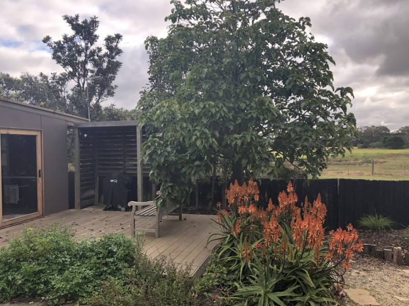 25 Emily Street, Point Lonsdale VIC 3225