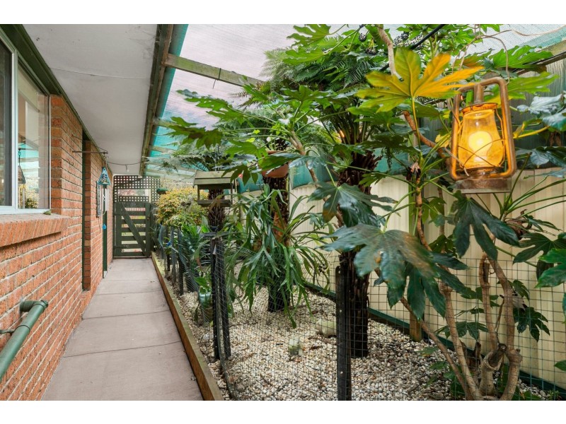 16 Coral Court, Clifton Springs VIC 3222