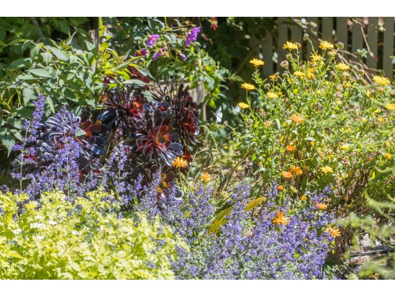 18-20 Bungalalli Avenue, Clifton Springs VIC 3222