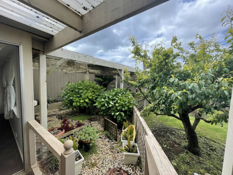 45 Mercury Crescent, Newcomb VIC 3219