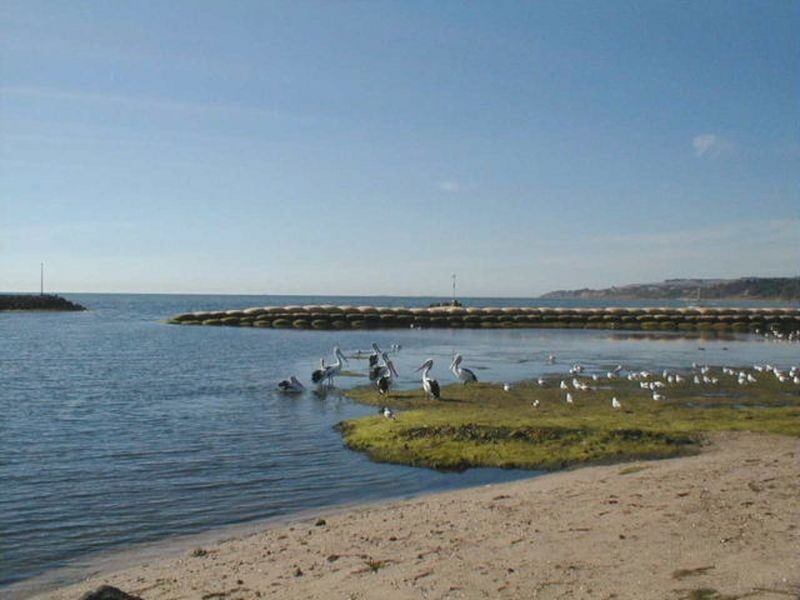 Lot 84 Hinterland Drive, Curlewis VIC 3222