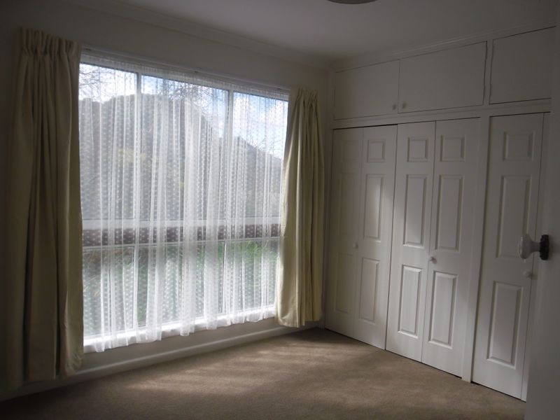 17 Pavo Street, Belmont VIC 3216