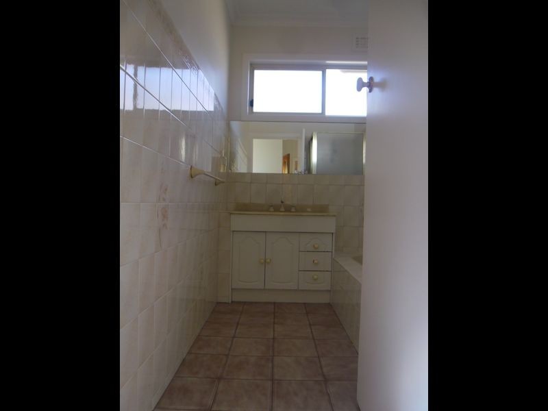 17 Pavo Street, Belmont VIC 3216