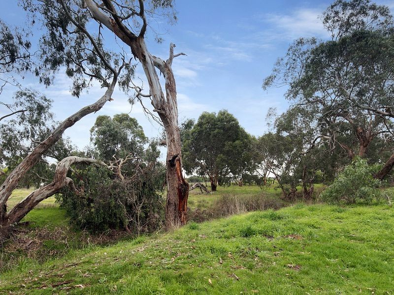 4 Olney Street, Winchelsea VIC 3241