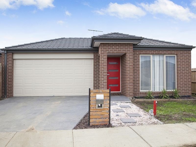 36 Macfarlane Street, Marshall VIC 3216