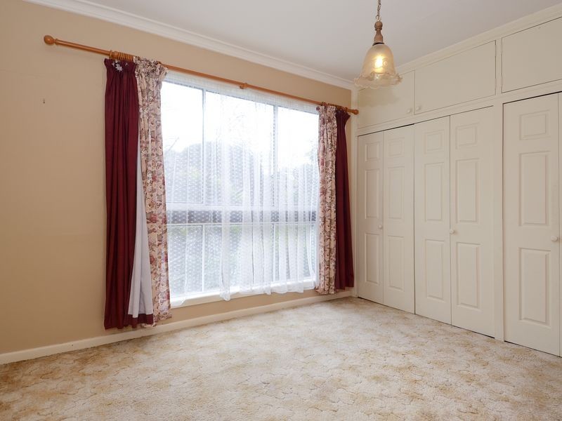 17 Pavo Street, Belmont VIC 3216