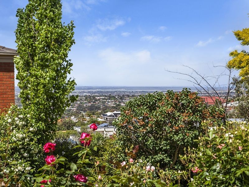 12 Thoroughbred Drive, Highton VIC 3216