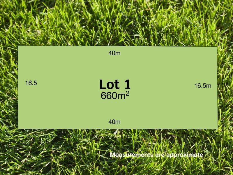 Lot 1 39 Bailey Street, Belmont VIC 3216