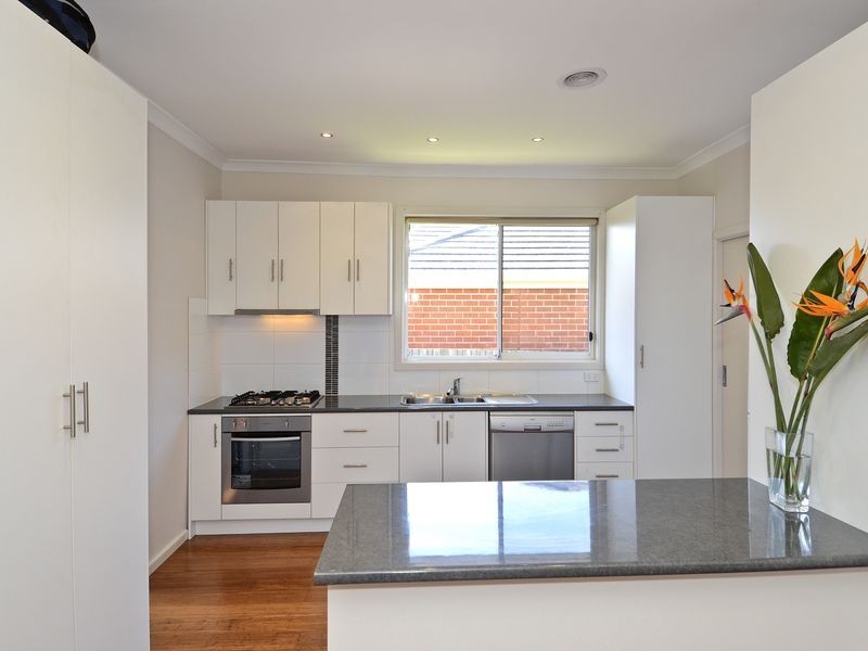 14 Tasman Avenue, Belmont VIC 3216