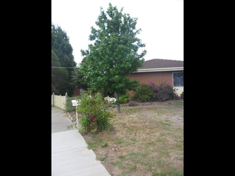 14 Worden Court, Whittington VIC 3219