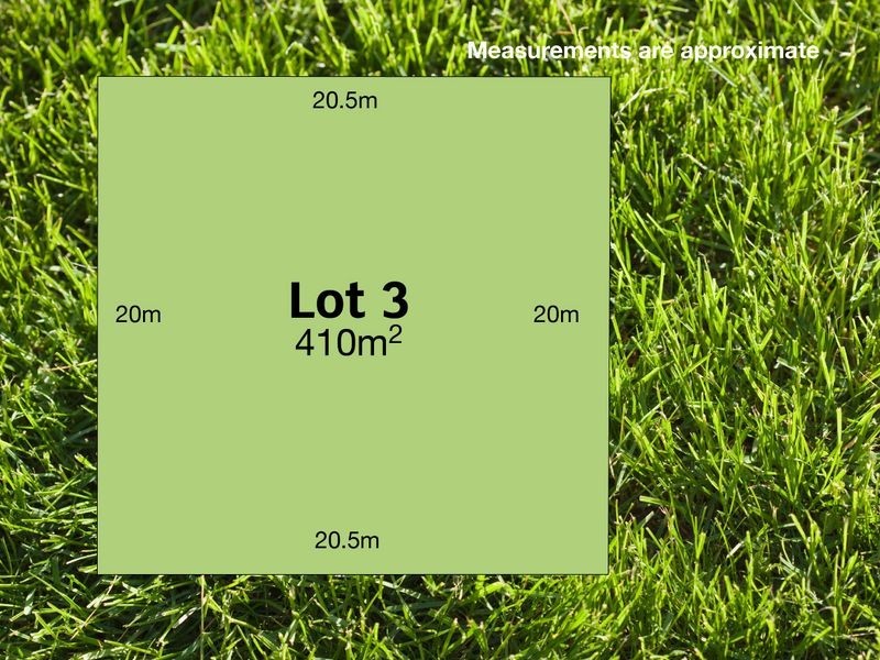 3/39 Bailey Street, Belmont VIC 3216