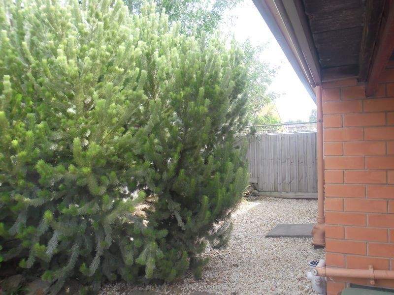 3/62 James Street, Belmont VIC 3216