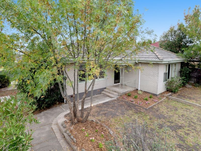 19 Apex Avenue, Belmont VIC 3216