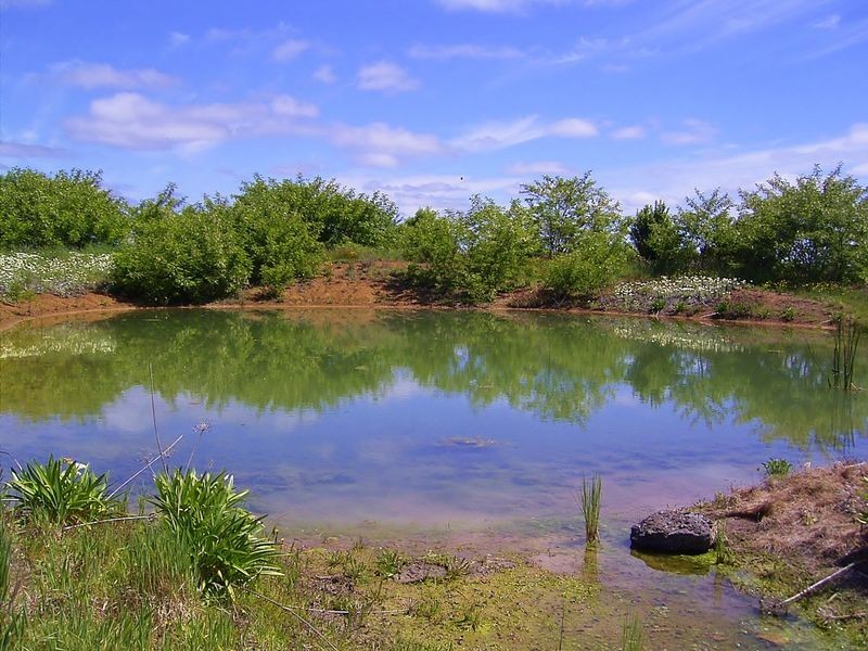 750 Colac-Forrest Road, Colac VIC 3250