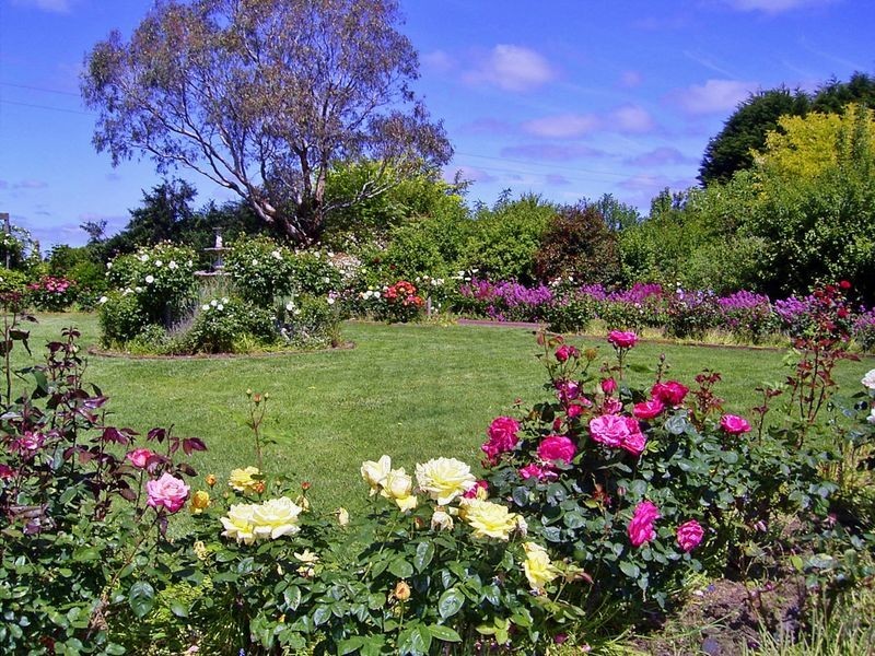 750 Colac-Forrest Road, Colac VIC 3250