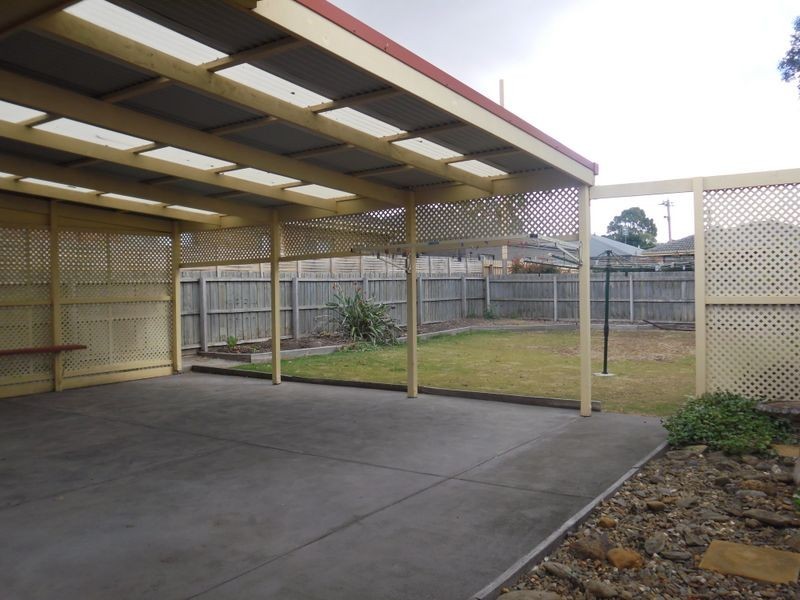 38 Colac Grove, Belmont VIC 3216