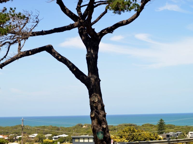 86 Tuckfield Street, Ocean Grove VIC 3226