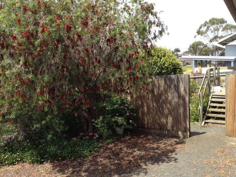 1/2 Sunset Strip, Ocean Grove VIC 3226