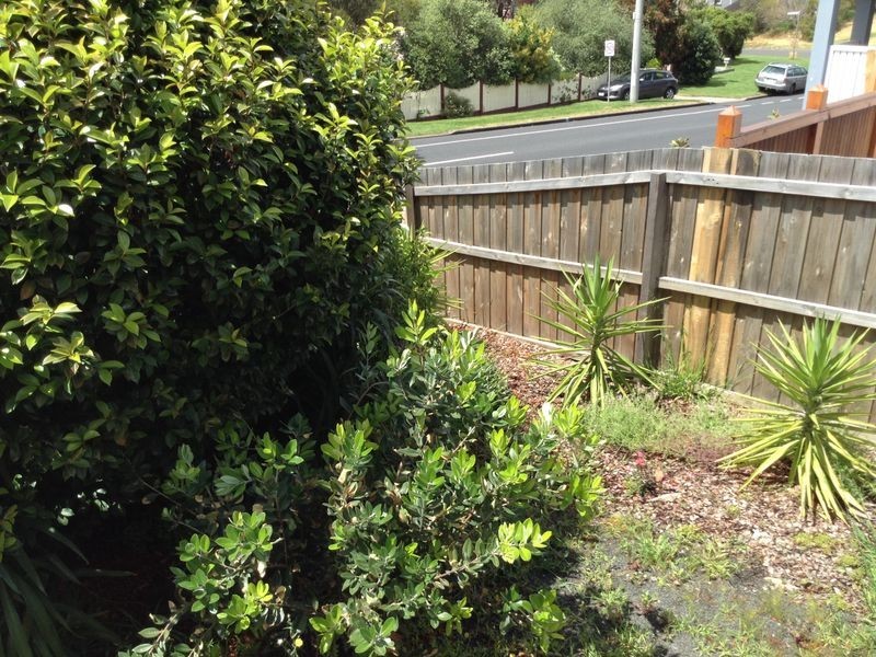1/2 Sunset Strip, Ocean Grove VIC 3226