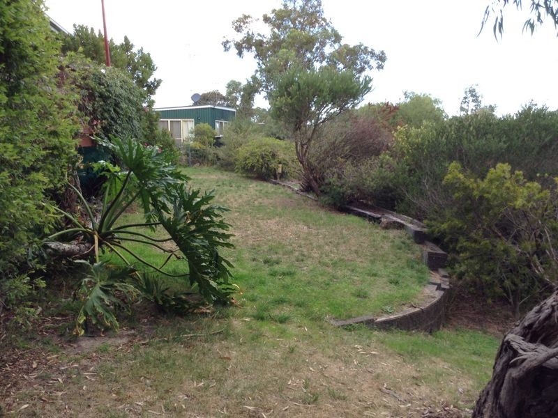 12 Newcomb Street, Ocean Grove VIC 3226