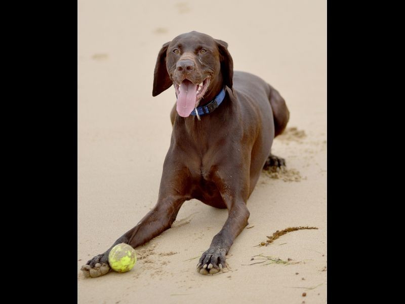 24 Aries Crescent, Ocean Grove VIC 3226