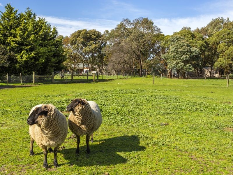 210 Rhinds Road, Wallington VIC 3221