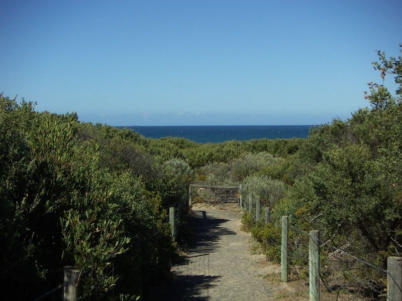 29 Minerva Close, Ocean Grove VIC 3226