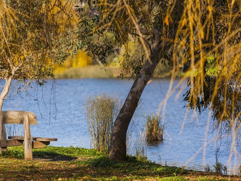 7 Mann Street, Ocean Grove VIC 3226