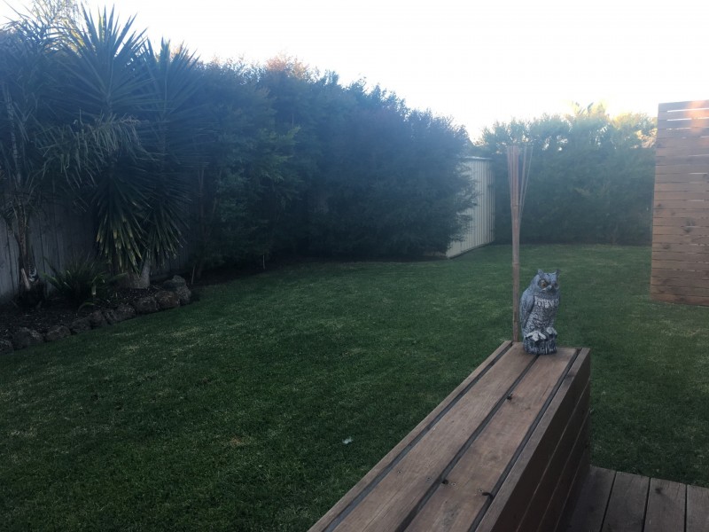 7 Cluney Street, Ocean Grove VIC 3226