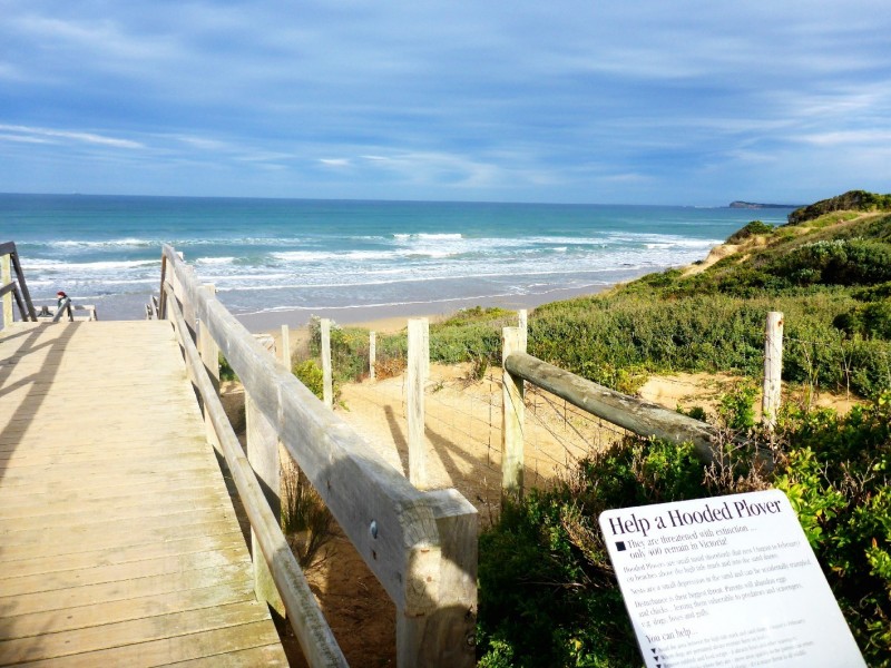 Unit 1/60 Sunset Strip, Ocean Grove VIC 3226