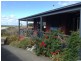 13 Northcote Road, Ocean Grove VIC 3226
