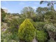 30 Powell Street, Ocean Grove VIC 3226