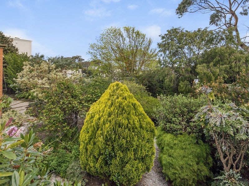 30 Powell Street, Ocean Grove VIC 3226