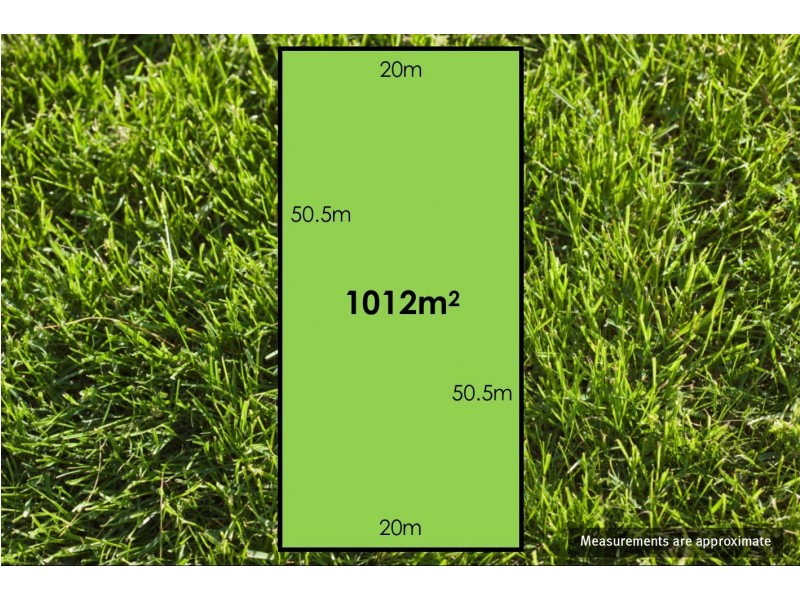 14 Dudley Parade, St Leonards VIC 3223