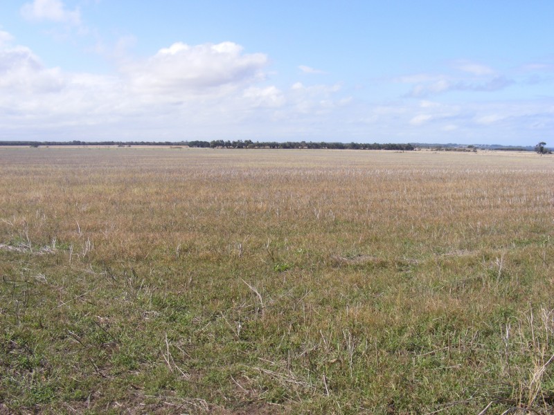 1155-1189 Swan Bay Road, Swan Bay VIC 3225