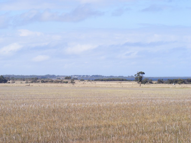 1155-1189 Swan Bay Road, Swan Bay VIC 3225