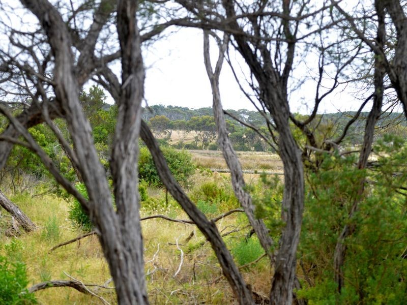 19 Dossetor Road, St Leonards VIC 3223