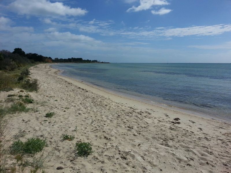 19 Dossetor Road, St Leonards VIC 3223